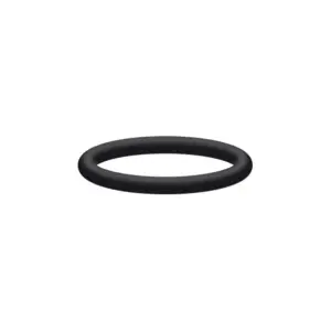 INTERPUMP O-RING W2141