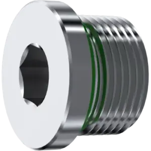 PLUG W/SEAL BSP CYL 1" A316