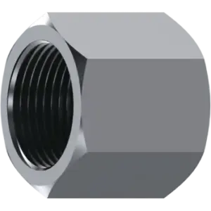 CAP FIXED HEX BSP 1 1/2" A316