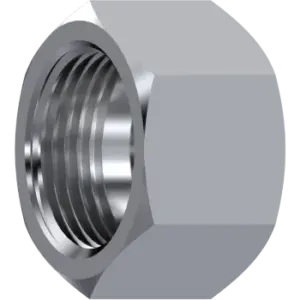 NUT 15L M22X1,5 DIN 3870 A316