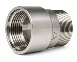 IBC FEM / BSPP MALE - S60X6 / 2" A316